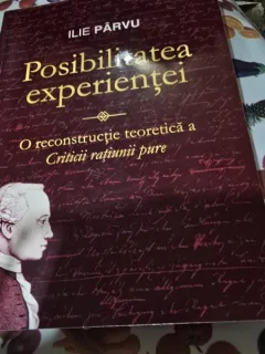 Posibilitatea experientei. O reconstructie teoretica a criticii ratiunii pure - Ilie Parvu