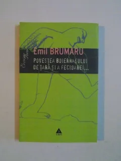 POVESTEA BOIERNASULUI DE TARA SI A FECIOAREI - EMIL BRUMARU