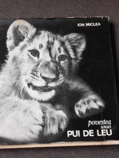 POVESTEA UNUI PUI DE LEU - ION MICLEA, PREZENTARE GRAFICA DINA OROVEANU