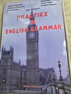 Practice in english grammar - Virginia Barghiel.... Violeta Negrea