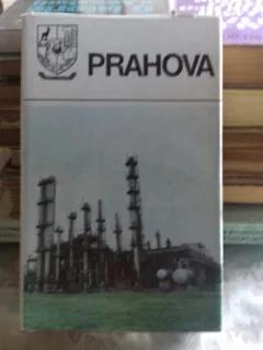 DIN COLECTIA JUDETELE PATRIEI - JUDETUL PRAHOVA. MONOGRAFIE