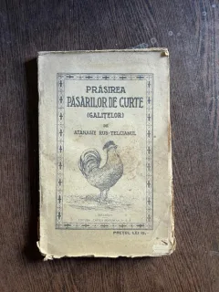Prasirea pasarilor de curte galitelor de A. Rus - Telcianul