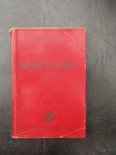 Pravale-baba - Ionel Teodoreanu