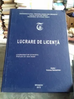 PREJUDICIUL MORAL/LUCRARE DE LICENTA - VOINEA SEBASTIAN