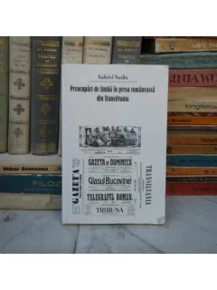 PREOCUPARI DE LIMBA IN PRESA ROMANEASCA DIN TRANSILVANIA , Gabriel Vasiliu , 2001