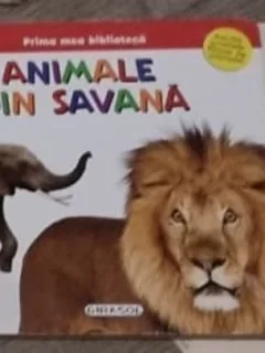 Prima mea Biblioteca - Animale din Savana