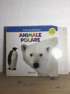 Prima Mea Biblioteca - Animale Polare