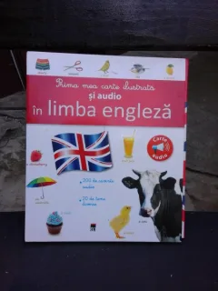 PRIMA MEA CARTE ILUSTRATA SI AUDIO IN LIMBA ENGLEZA