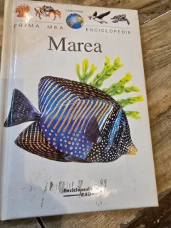 Prima mea enciclopedie. Marea
