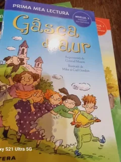 Prima mea lectura - Gasca de aur (Nivelu 3 Poveste cu capitole)