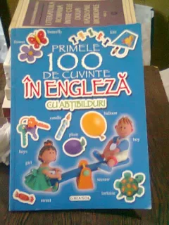 PRIMELE 100 DE CUVINTE IN ENGLEZA