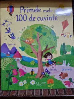 Primele mele 100 de cuvinte