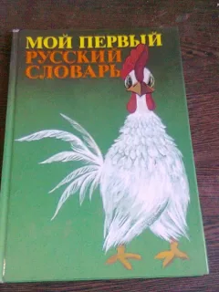 primul meu dicționar rus (мой первый русский словарь)   Carte pentru copii, bogat ilustrata)
