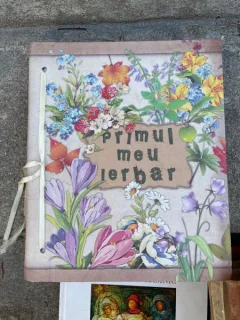 Primul meu ierbar