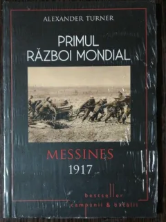 PRIMUL RAZBOI MONDIAL MESSINES 1917 - ALEXANDER TURNER