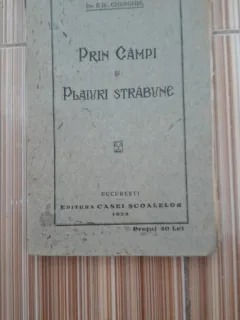 Prin campi si plaiuri strabune - Ilie Gherghel