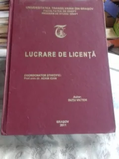 PRINCIPIUL RASPUNDERII PENTRU PREJUDICIILE CAUZATE DE LUCRURI/LUCRARE DE LICENTA - DUTU VICTOR