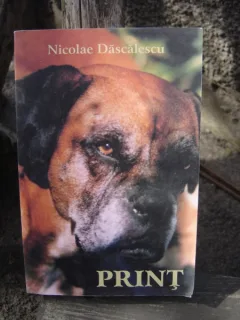 PRINT - NICOLAE DASCALESCU