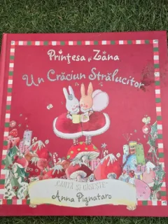Printesa si zana. Un craciun stralucitor