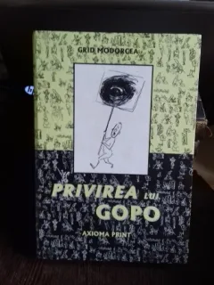 PRIVIREA LUI GOPO - GRID MODORCEA