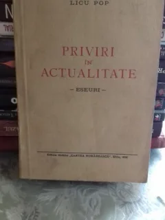 PRIVIRI IN ACTUALITATE - LICU POP