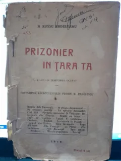 Prizonier in tara ta - N. Russu Ardeleanu