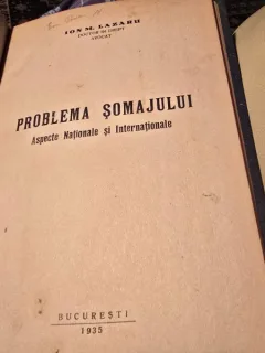 Problema somajului, aspecte nationale si internationale - Ion M. Lazaru