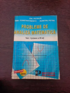 Probleme de analiza matematica - Ion Petrica  Vol.I clasa a XI-a