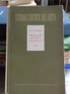 PROBLEME DE ARTA PLASTICA - LELIA RUDASCU