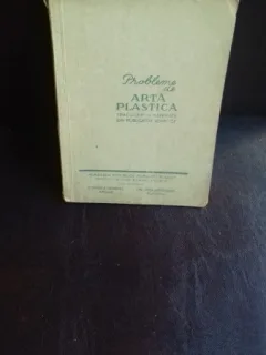 PROBLEME DE ARTA PLASTICA