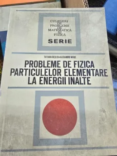 Probleme de fizica particulelor elementare la energii inalte - Tatiana Besliu