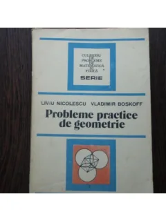 PROBLEME PRACTICE DE GEOMETRIE - LIVIU NICOLESCU