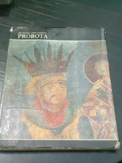 PROBOTA - ION MICLEA  ALBUM