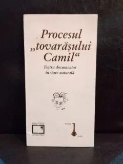 Procesul