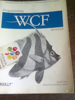 PROGRAMMING WCF SERVICES - JUVAL LOWY