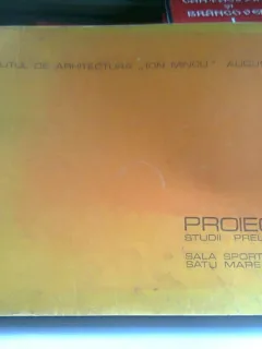 PROIECTE. STUDII PRELIMINARE SALA SPORT SATU MARE