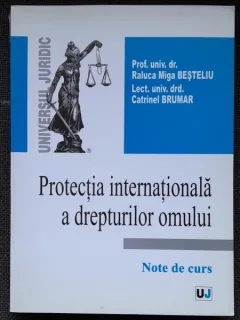 Protectia internationala a drepturilor omului - Raluca Miga Besteliu