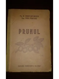 PRUNUL, PROF. N. CONSTANTINESCU, TEHN. POPA PORFIRIE