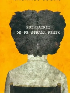 Psihiatrii de pe strada Fenix - Michael Segal