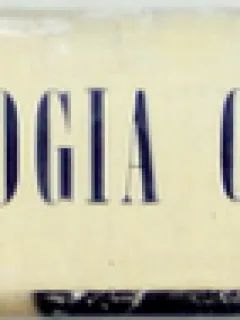 PSIHOLOGIA COPILULUI-URSULA SCHIOPU