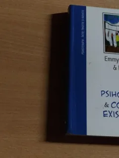 PSIHOTERAPIE SI CONSILIERE EXISTENTIALA-EMMY VAN DEURZEN-MARTIN ADAMS