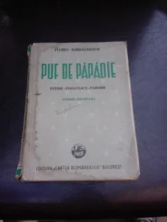 PUF DE PAPADIE, STIHURI UMORISTICE – FLORIN IORDACHESCU