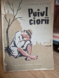 Puiul ciorii - George Nestor