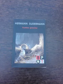 Puntea Pisicilor - Hermann Sudermann