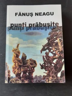 PUNTI PRABUSITE - FANUS NEAGU