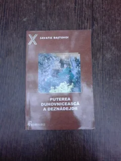 Puterea duhovniceasca a deznadejdii - Savatie Bastovoi