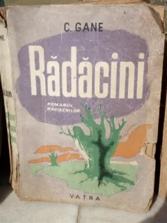 RADACINI , C. GANE