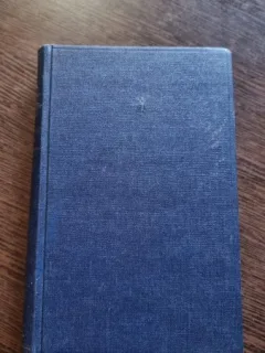Radu D. Rosetti - Din largul lumii