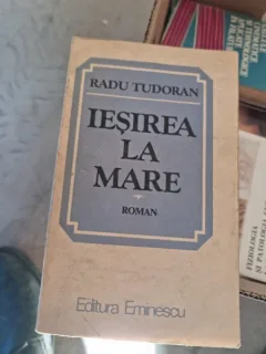Radu Tudoran - Iesirea la mare