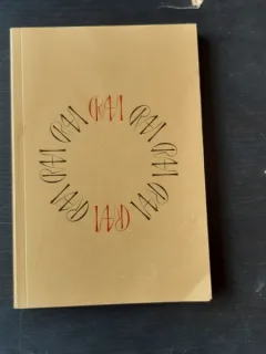 RAI DIN IAD, MUZEUL DE ARTA RECENTA, ALBUM